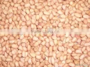 China Dried Peanut Kernel Baisha photo-4