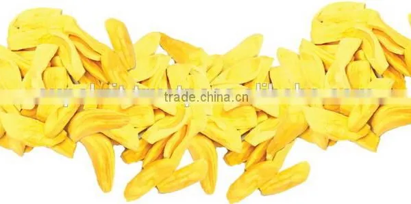 Freeze Dried Jackfruit 20 g by Thai Ao Chi Fruits photo-2