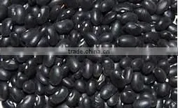 Canned Black Kidney Beans in Brine photo-2