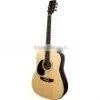 Acoustic Guitar
