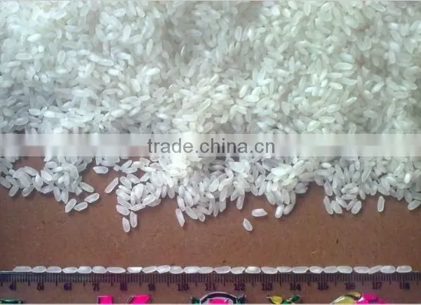Camilino Rice-oil Polished Medium Grain
