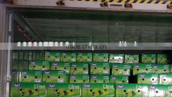 Product Quality of Hkvimex Viet Nam Lemon photo-6