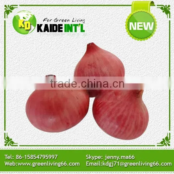 Competitive Price Fresh White Onion photo-5