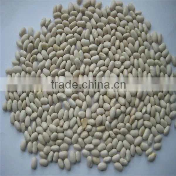White Kidney Bean for Sale photo-3