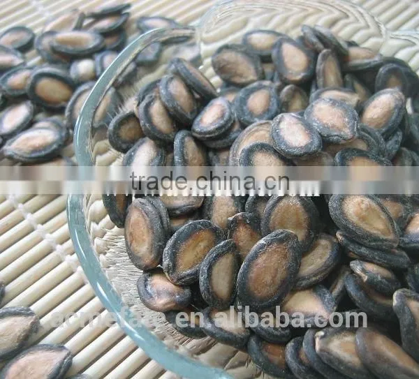 Black Watermelon Seeds B Grade in Low Price photo-2