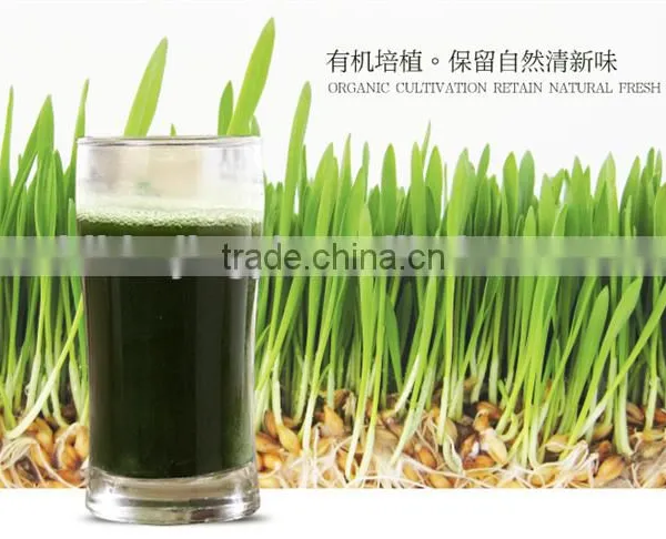 100% Purity Organic Barley Grass Powder photo-2