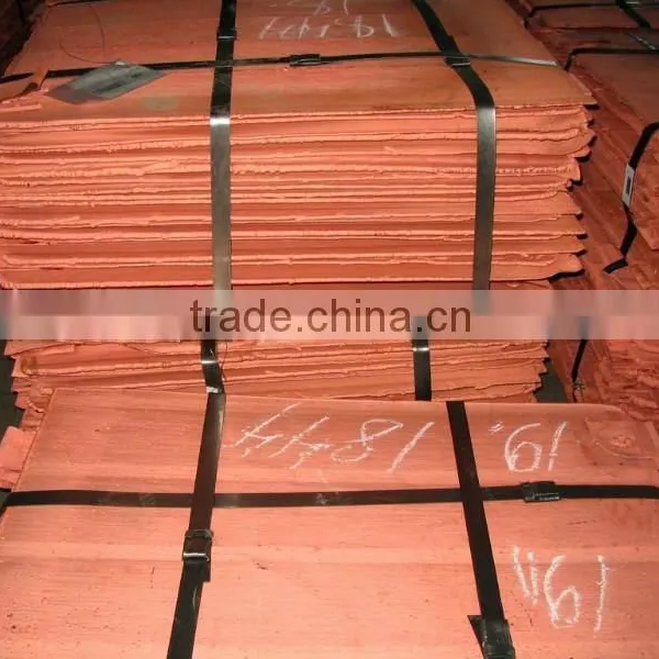 High Quality Copper Cathode Hot Sale (B54) photo-5