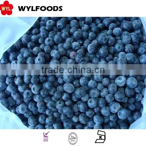 IQF Frozen Blueberry Wild photo-4