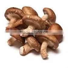 Detan Hot Dried Shiitake Mushrooms photo-6
