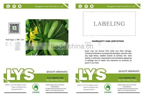 SQ03 Cuili Excellent Disease Resistant f1 Hybrid Seeds of Squash Seeds photo-2