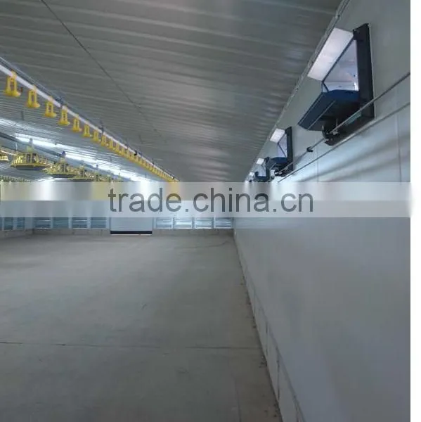 Steel Structure Chicken Shed With Environmental Control System photo-3
