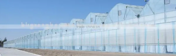 Greenhouse for Agriculture Hydroponics photo-3