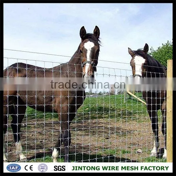 Agricultural Fixed Knot Steel Farm Fencecheap Farm Fencefixed Knot Fence Wire Fence photo-5