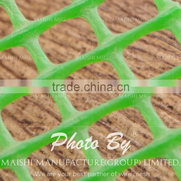 Plastic Extruded Net photo-3