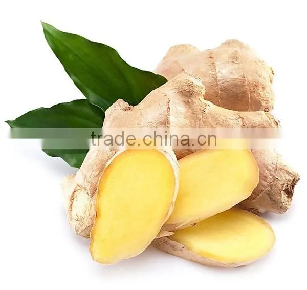 Stainless Steel Garlic Ginger and Chilli Sauce Grinding Machine Have Good Selling photo-3