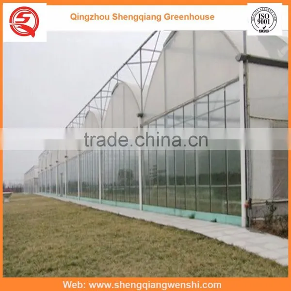 Agriculture Equipment Multi-span 6.0m PO Film Greenhouse for Sale photo-2