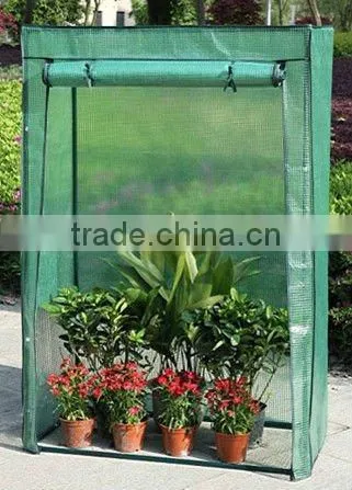 Tomato Greenhouse photo-2