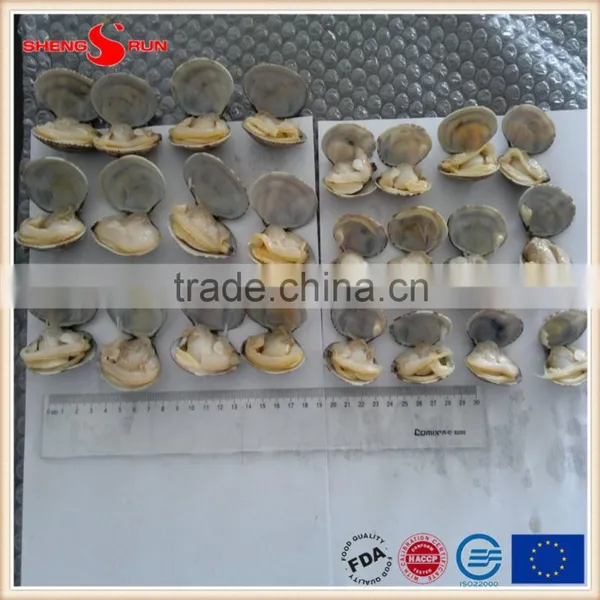 Frozen Boiled Baby Clam
