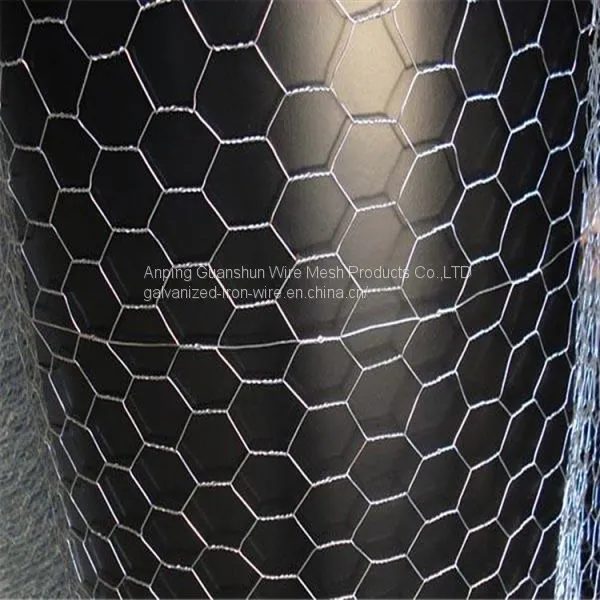 Hexagonal Wire Mesh photo-2