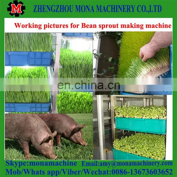 Best Factory Offer Bean Sprouter Machine for Sale photo-3