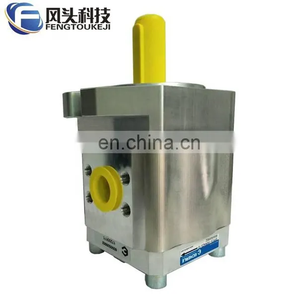 Eckerle EIPC Series Internal Gear Pump Hydraulic Pump High Press EIPC5-064RA23-1X EIPC3-025LL23 EIPC6-125RA23-10 EIPC3-025LP photo-2