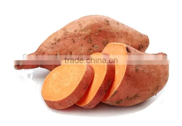 Frozen White Sweet Purple Potato From Vietnam/ Purple Yam photo-4