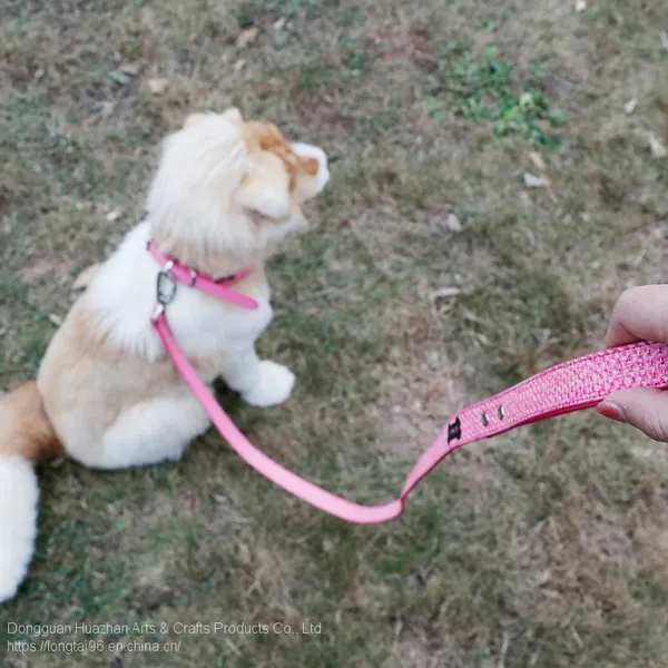 Factory Directly Supplied Pet Chest Strap Traction Rope Set Mesh Imitation Nylon Dog Clothes Triangle Dog Chest Back