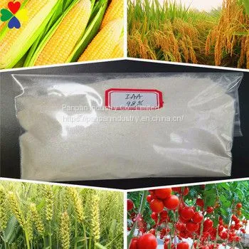 China Supplier Auxin Plant Growth Regulator Iaa 98%tc High Purity photo-3