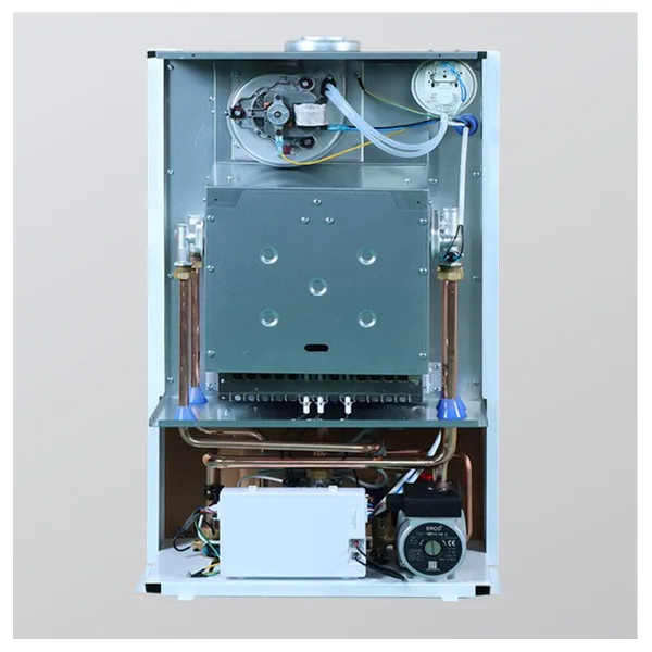 Natural Gas and Lpg Central Heating Boilers Heating Gas Boiler for Hot Water and Central Heating for Domestic Use photo-3