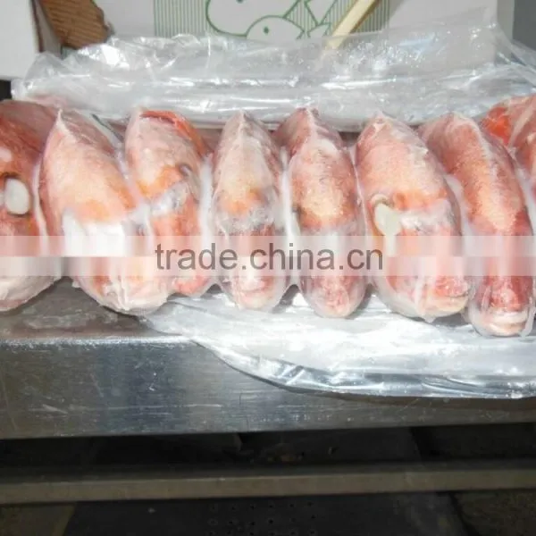 WR Frozen Red Porgy photo-6