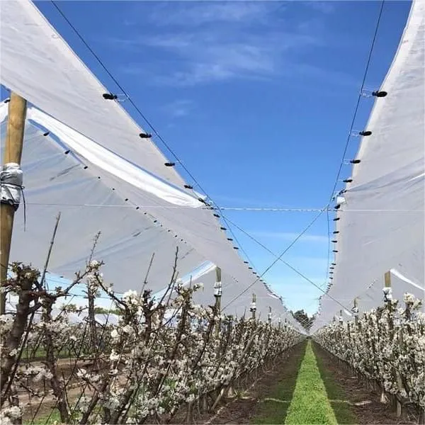Cherry Tree Plastic Cover