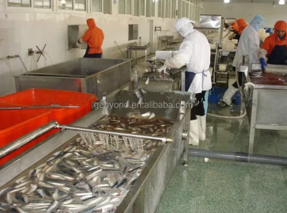 Canned Fish Processing Line photo-2