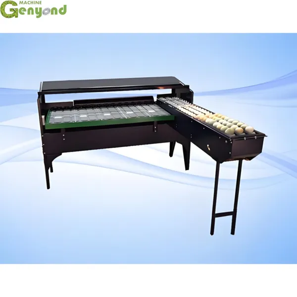 Automatic Egg Grading Machine Egg Grader Automatic Chicken Egg Sorting Machine photo-3