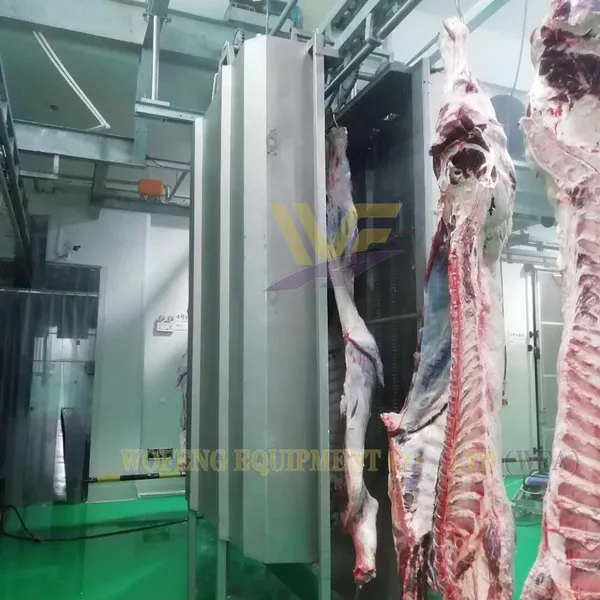 100–1000 Heads Per Shift Cattle Slaughter Production Line Customized Cow Abattoir Equipment Manufacturer photo-5