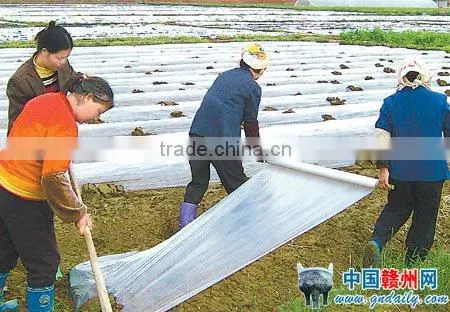 Non Woven Landscape Fabric Wholesale photo-2