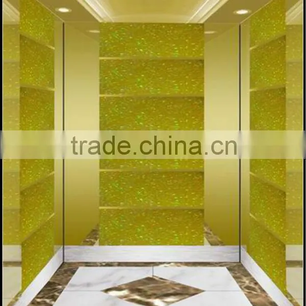 Competitive Price for Passenger Elevator With Excellent Quality WP30-7