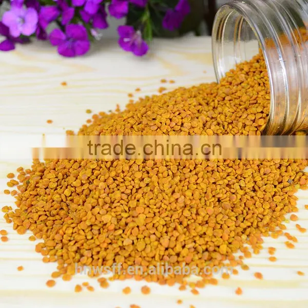 China Bee Pollen Raw Honey Bee Pollen Supplements From China Bee Pollen photo-4