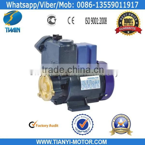 GP200 0.32HP Wate Pump
