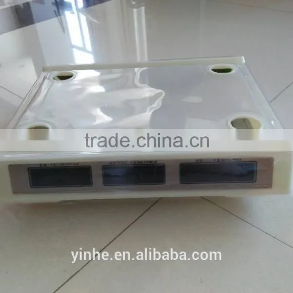 Cheapest and Hot Acs Price Computing ScaleYY-9185 photo-4