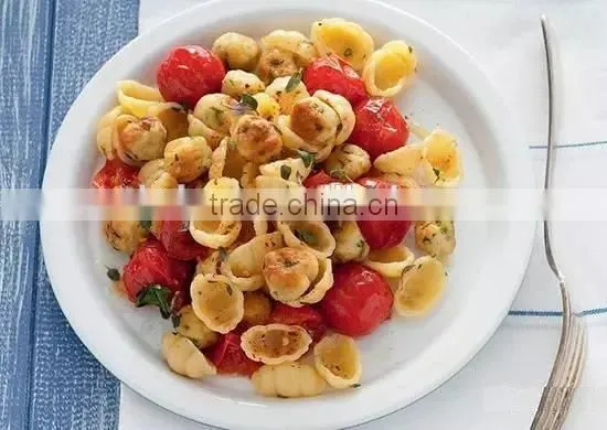 Professional Electric Pasta Maker,cheap Pasta Making Equipment photo-3