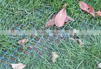Grass Mesh for Turf and Lawn Reinforcement photo-3
