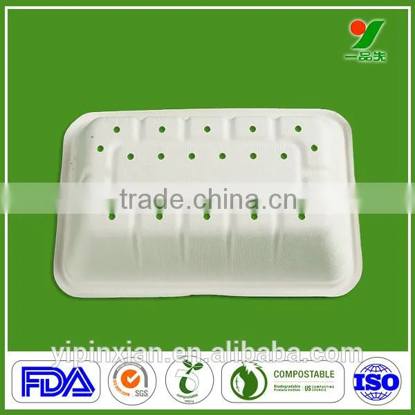 Professional Manufacturer Top Grade 90days Biodegradable Composable Hygiene Sugarcane Bagasse Molded Pulp Fruit Packaging Plates photo-2