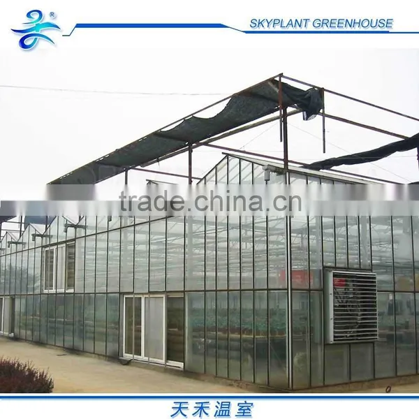 Horticultural Glass Greenhouse Multi-span Glass Greenhouse photo-2