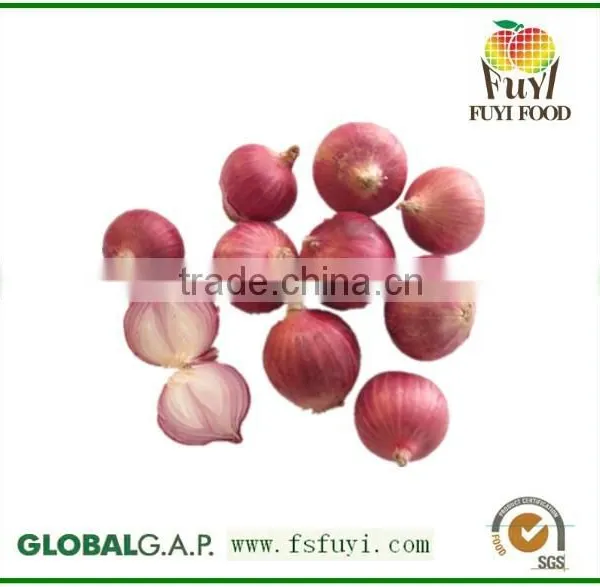 Fresh Red Oinon Shallots