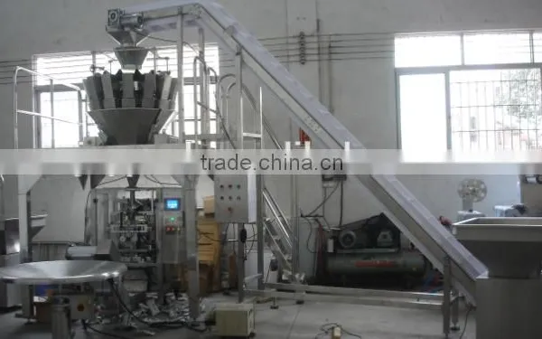 Modular Conveyor for Potato Chips photo-2