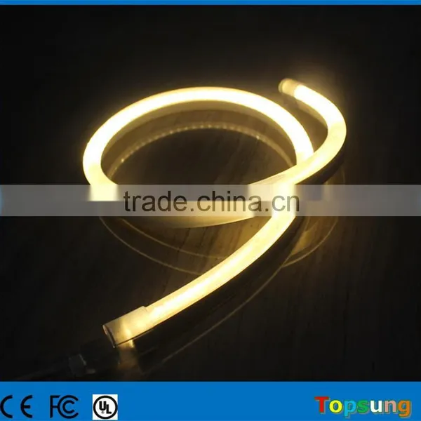 Popular Transparent Warm White Waterproof Ip66 Led Neon Lights Low Voltage photo-2