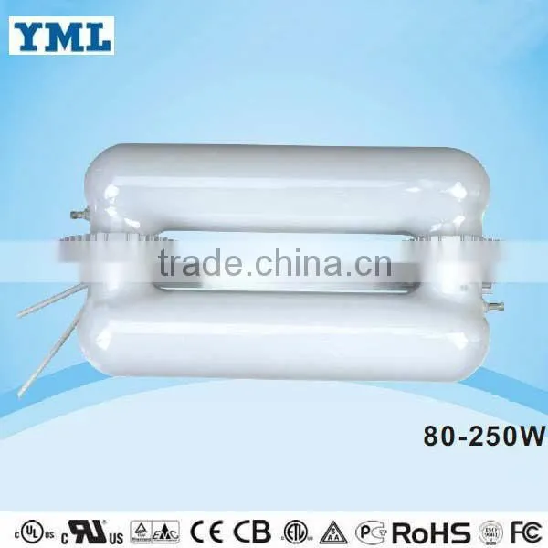 40-300W Induction Street Lighting-cobra Light Magnetic Replace Street Led Light photo-6