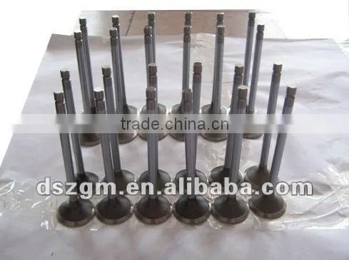6CT Intake Valve