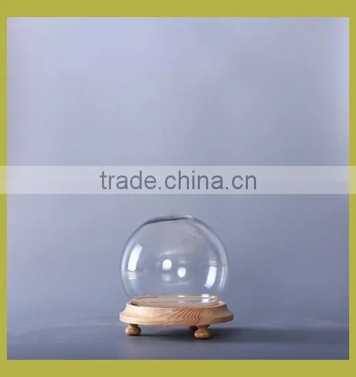Clear Glass Display Dome photo-4