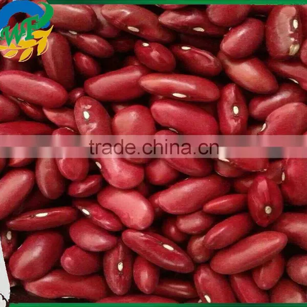 New Crop Dark Red Kidney Beans